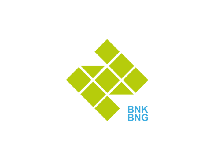 Das BNK BNG Logo grün auf weißem Hintergrund