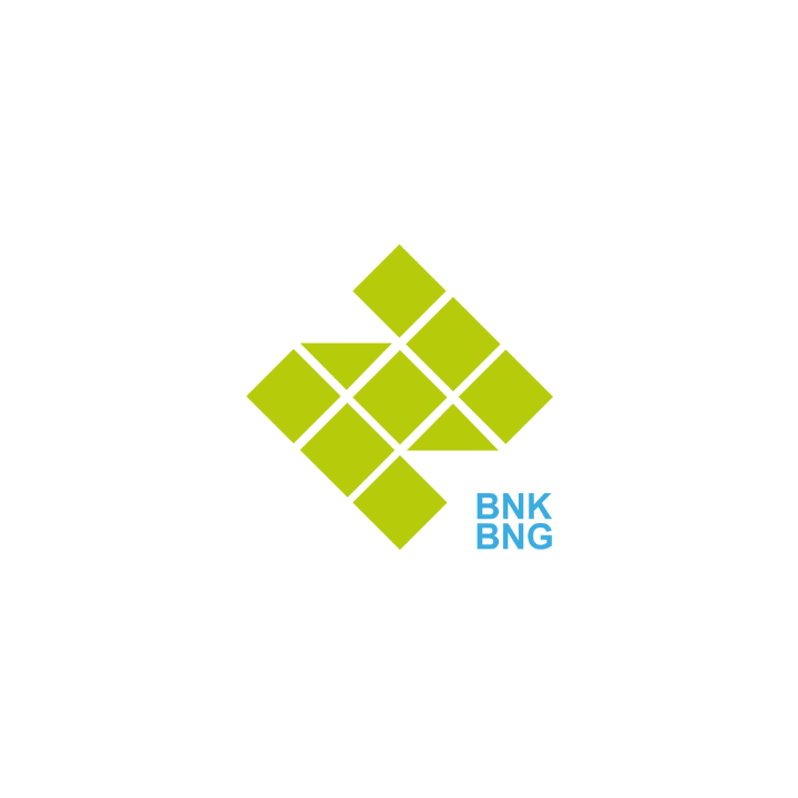 Das BNK BNG Logo grün auf weißem Hintergrund