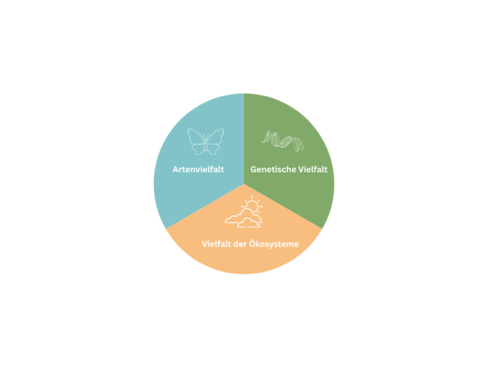 Logo zum Thema Biodiversität im Bauwesen mit Symbolen für Artenvielfalt, genetische Vielfalt und Vielfalt der Ökosysteme.