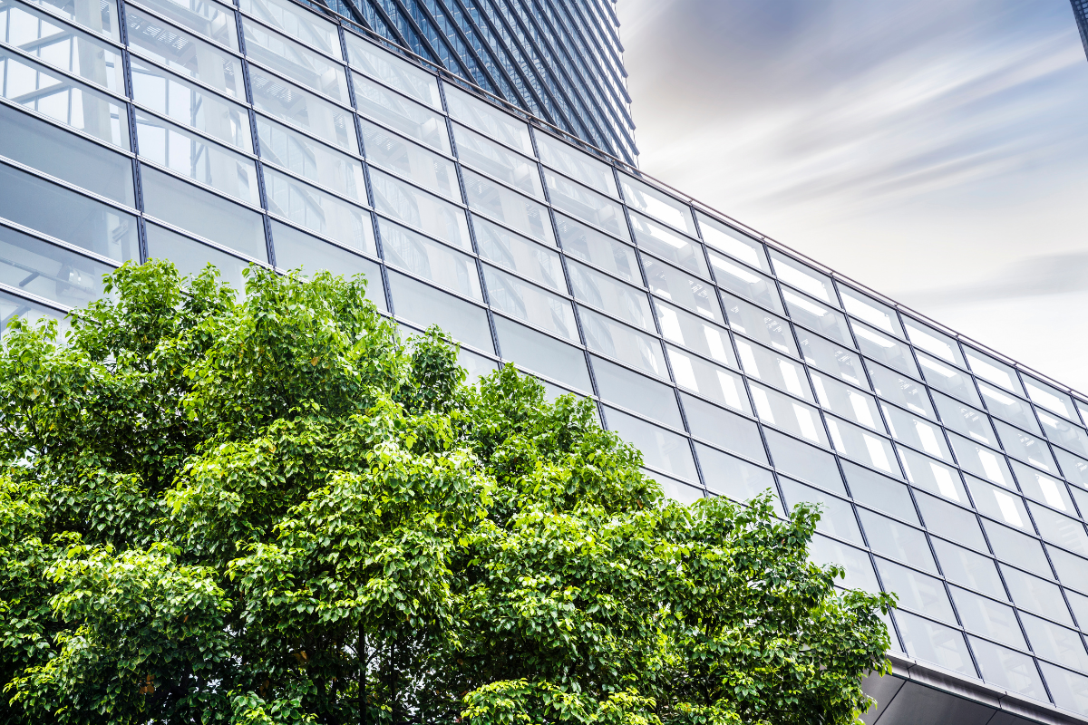 Modern building with a tree in the foreground - an example of biodiversity in construction.